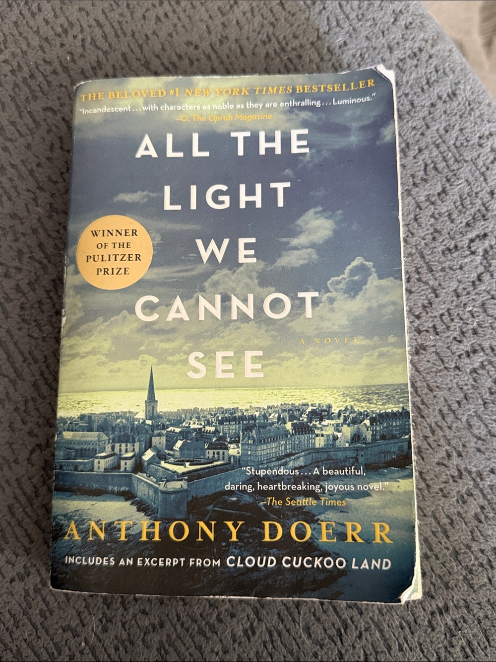 All the Light We Cannot See by Anthony Doerr - Blue & Cream Cover